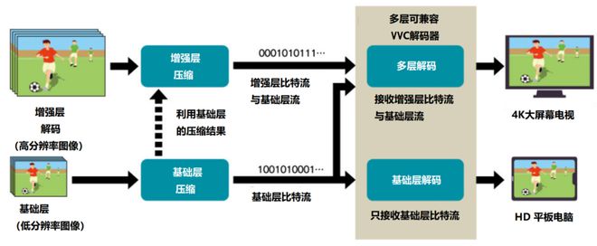 体育最新研究，探索前沿科技与健康生活的交汇点