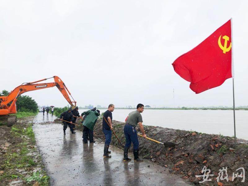 巢湖最新防汛，守护家园，共筑安全防线