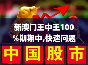 新澳门王中王——解析与解读