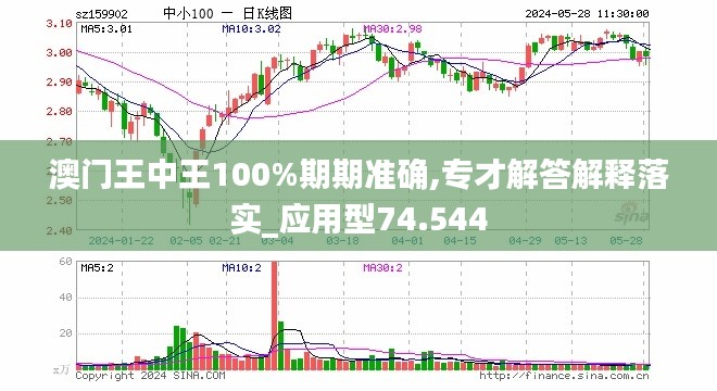 澳门王中王100%期期中，精选解释解析落实