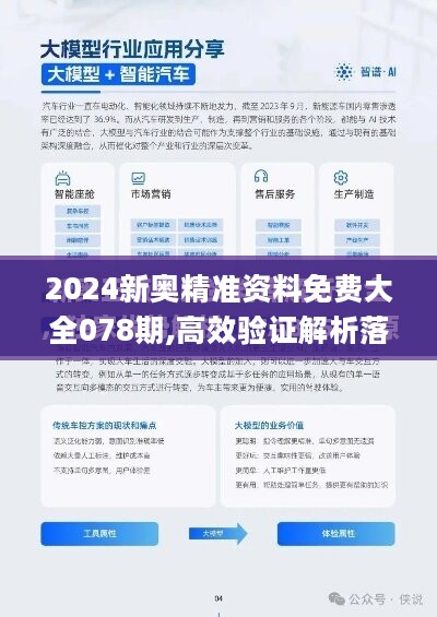 2024新奥资料免费精准天天大全——解析与解读的深度探索