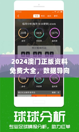 2024新澳正版免费资料的特点解析与精选解释