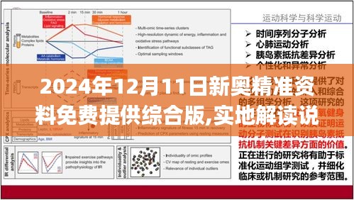 新奥正版全年免费资料精选解析与落实