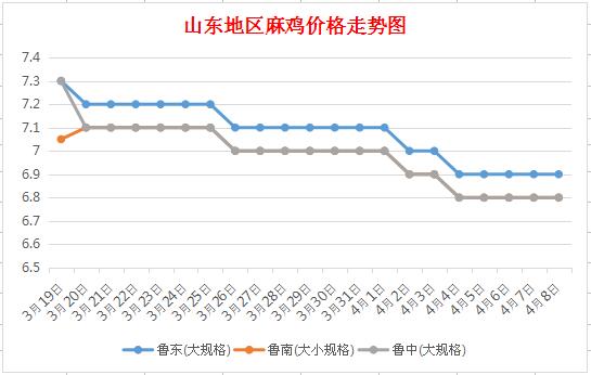 山东麻鸡价格最新行情分析