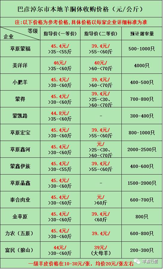 羊最新价格，市场动态与经济观察